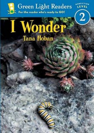 I Wonder by HOBAN TANA