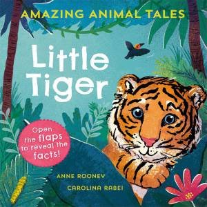 Amazing Animal Tales: Little Tiger by Anne Rooney