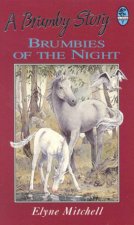 Silver Brumby Brumbies Of The Night