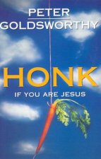 Honk If You Are Jesus