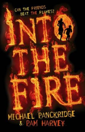 Into the Fire by Pam Harvey & Michael Panckridge