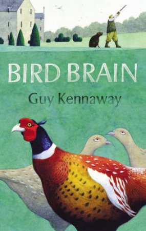 Bird Brain by Guy Kennaway