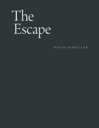 The Escape by David Schutter & Barry Schwabsky & Dieter Roelstraete