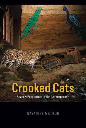 Crooked Cats by Nayanika Mathur