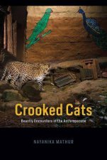 Crooked Cats