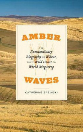 Amber Waves by Catherine Zabinski