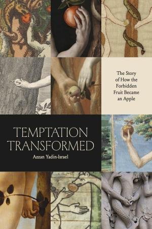 Temptation Transformed by Azzan Yadin-Israel