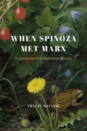 When Spinoza Met Marx by Tracie Matysik