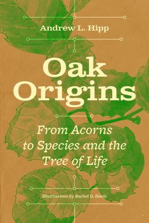 Oak Origins by Andrew L. Hipp & Rachel D. Davis & Beatrice Chasse