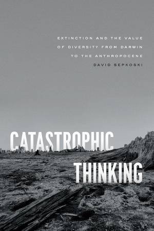 Catastrophic Thinking by David Sepkoski