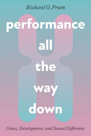 Performance All the Way Down by Richard O. Prum