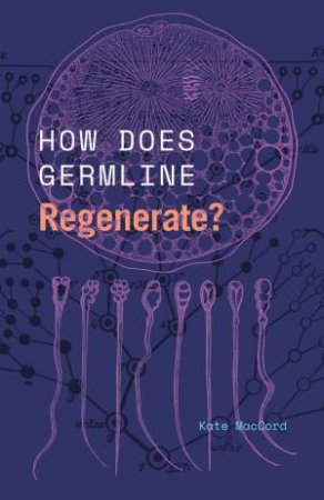 How Does Germline Regenerate? by Kate MacCord