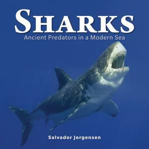 Sharks: Ancient Predators In A Modern Sea by Salvador Jorgensen