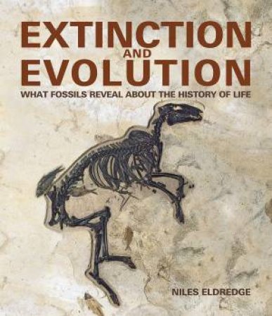 Extinction And Evolution by Niles Eldredge