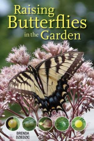 Raising Butterflies In The Garden by Brenda Dziedzic