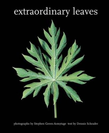 Extraordinary Leaves by Dennis Schrader 