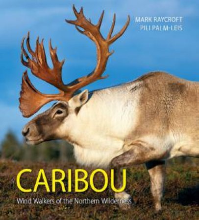 Caribou: Wind Walkers Of The Northern Wilderness by Mark Raycroft 