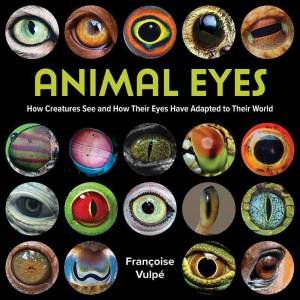 Animal Eyes: How Creatures See and How Their Eyes Have Adapted to Their World by FRANCOISE VULPE