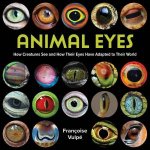 Animal Eyes How Creatures See and How Their Eyes Have Adapted to Their World