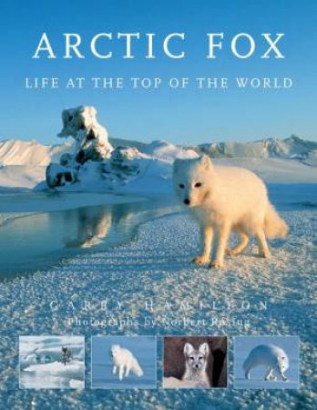 Arctic Fox: Life at the Top of the World by GARY HAMILTON