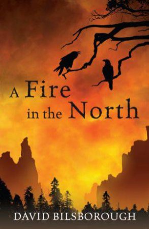 Fire in the North, A by David Bilsborough