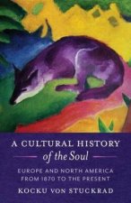 A Cultural History Of The Soul