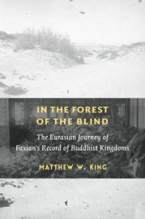 In The Forest Of The Blind by Matthew W. King