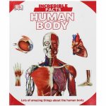 Incredible Facts Human Body