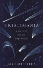 Tristimania A Diary Of Manic Depression