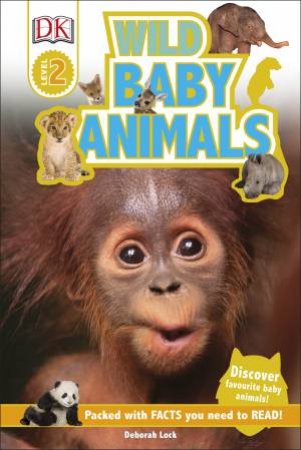 Wild Baby Animals by Deborah Lock