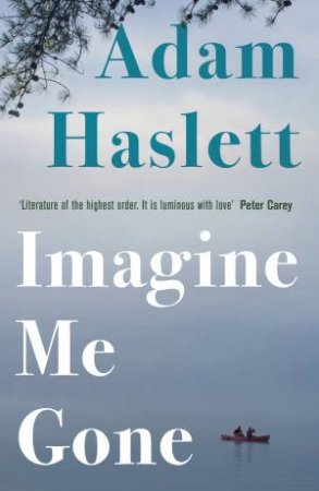 Imagine Me Gone by Adam Haslett