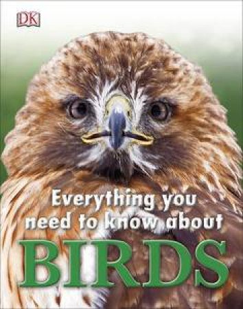 Everything You Need to Know About: Birds by Various