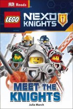 LEGO New Theme DK Reads 2