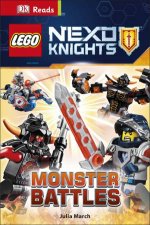 LEGO New Theme DK Reads 3