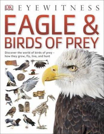 Eyewitness Child: Eagle and Birds of Prey by Various 