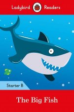 Big Fish Ladybird Readers Starter Level B The