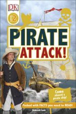 DK Reads Pirate Attack