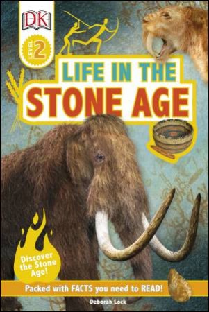 DK Reader: Life In The Stone Age by Various