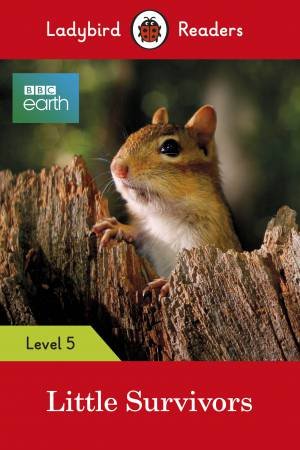 Ladybird Readers Level 5 Bbc Earth Little Survivors by Ladybird