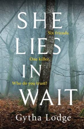 She Lies in Wait by Gytha Lodge