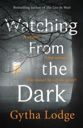 Watching From The Dark by Gytha Lodge