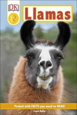 Llamas