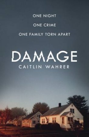 Damage by Caitlin Wahrer