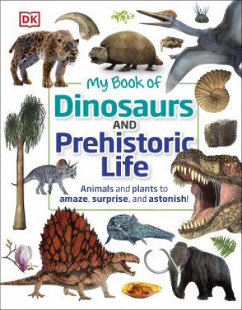 My Book Of Dinosaurs And Prehistoric Life by Various