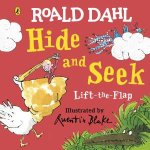 Roald Dahl LiftTheFlap Hide And Seek