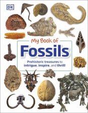 My Book Of Fossils