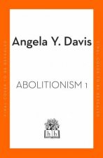 Abolition Politics Practices Promises Vol 1