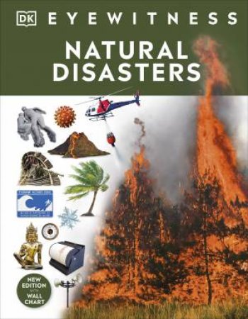 Natural Disaster by Various