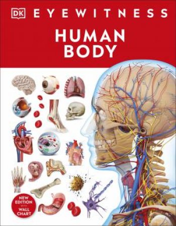 Human Body by David Pelham