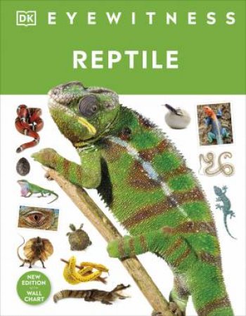 DK Eyewitness: Reptile by DK